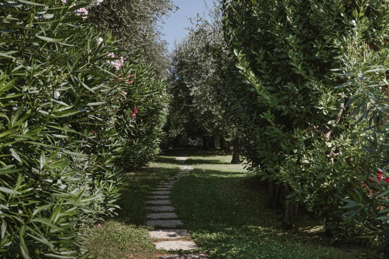 App. Mimosa Minerva Holiday Home Manerba del Garda Dış mekan fotoğraf